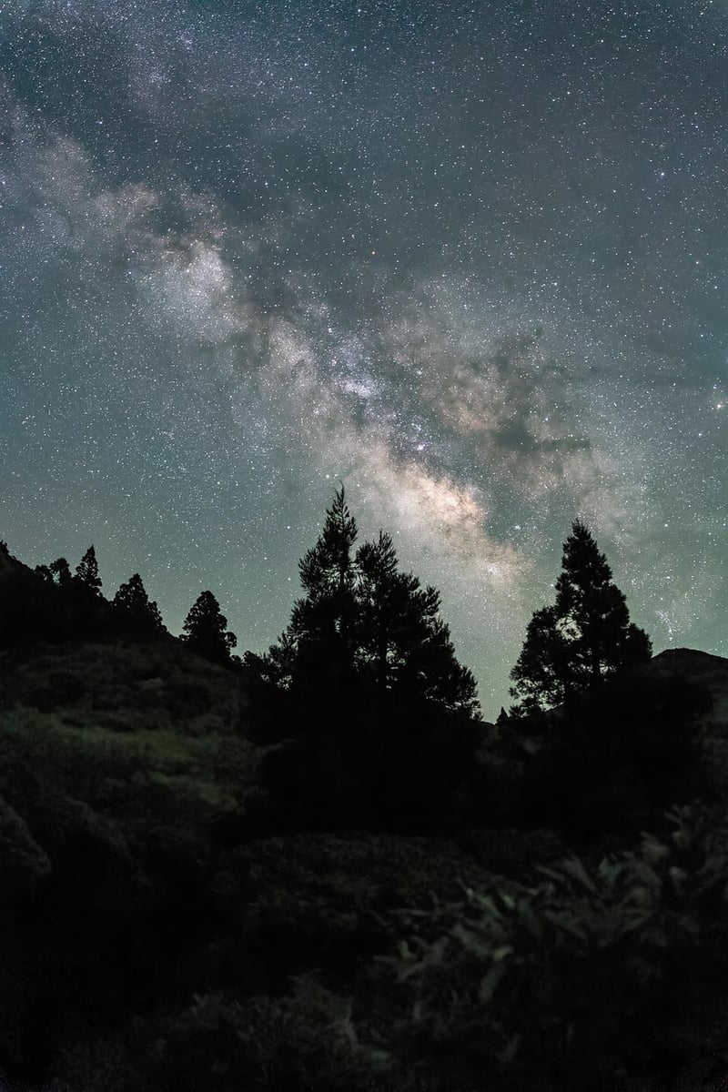 Mindful Meditation Image
